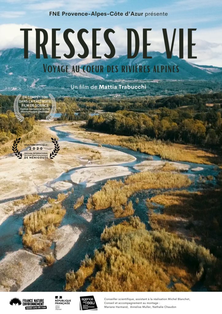 Impossible de lire la video